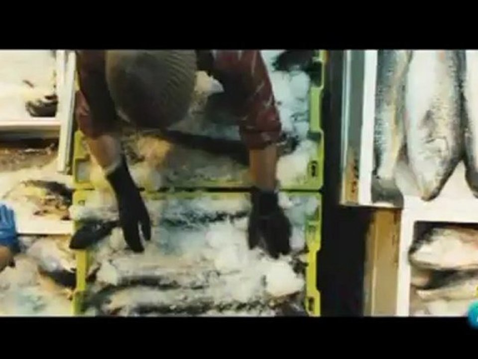 Días de Cine - Festival de Málaga. Cine Español 2012