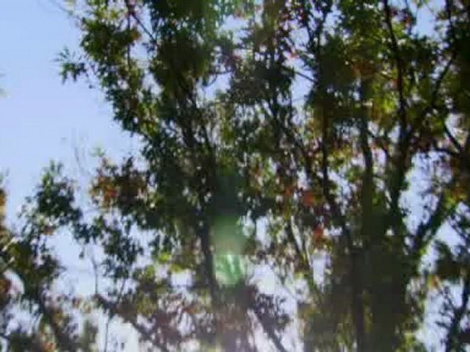 Dining with Terrorists - Return of the Freedom Fighter -Pt 2