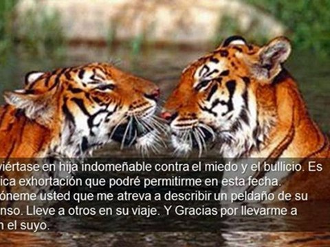 Superación Motivacional - Cartas a una Joven Soñadora - Carlos de la Rosa Vidal - Conferencista Motivacional