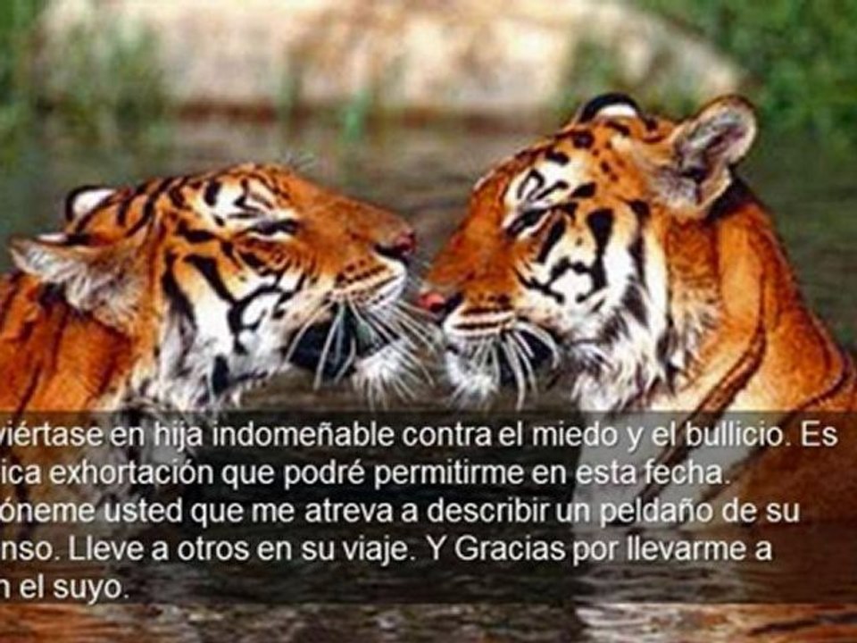 Superación Motivacional - Cartas a una Joven Soñadora - Carlos de la Rosa Vidal - Conferencista Motivacional