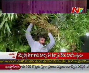 BOX Office - Tollywood Latest Movies News - 02