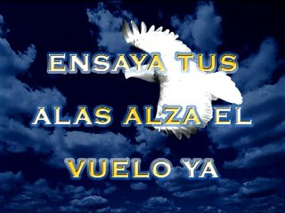 Gran Aguila Blanca(480p_H.264-AAC)