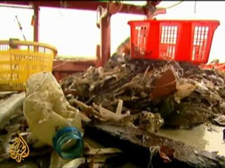 Hong Kong's dwindling fishing community - 16 May 09