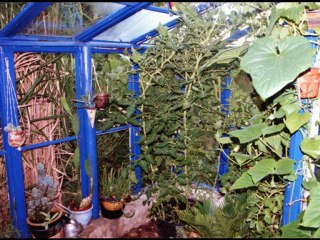 Garten1 Bildergalerie