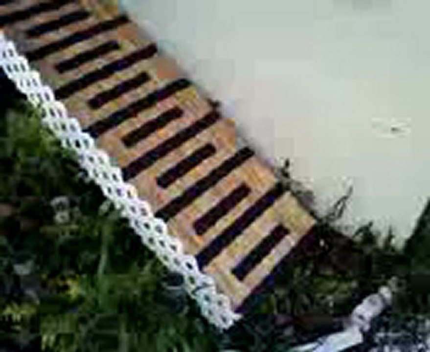 HandymanPalmHarbor