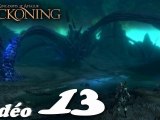 Les Royaumes D'Amalur Age Of Reckoning (13/16)