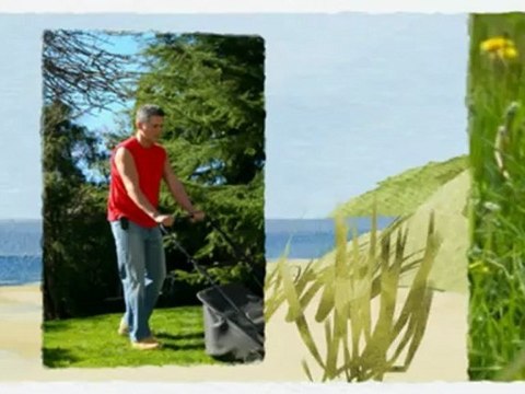 Professional Landscape Inc (973) 398-4050