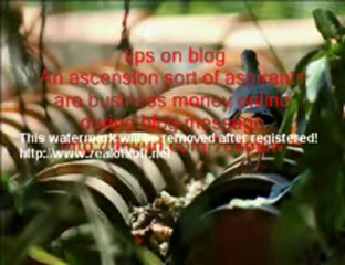 business blogging tips