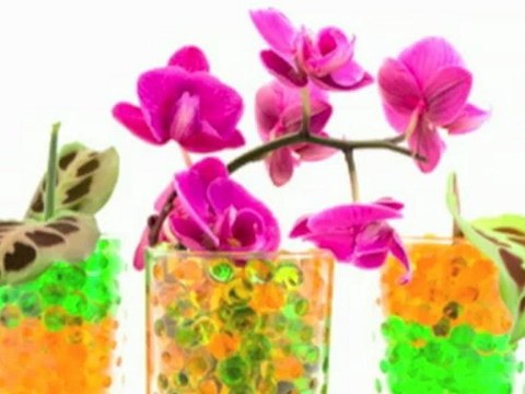 Réalisez une composition florale pour centre de table ou mariage facilement