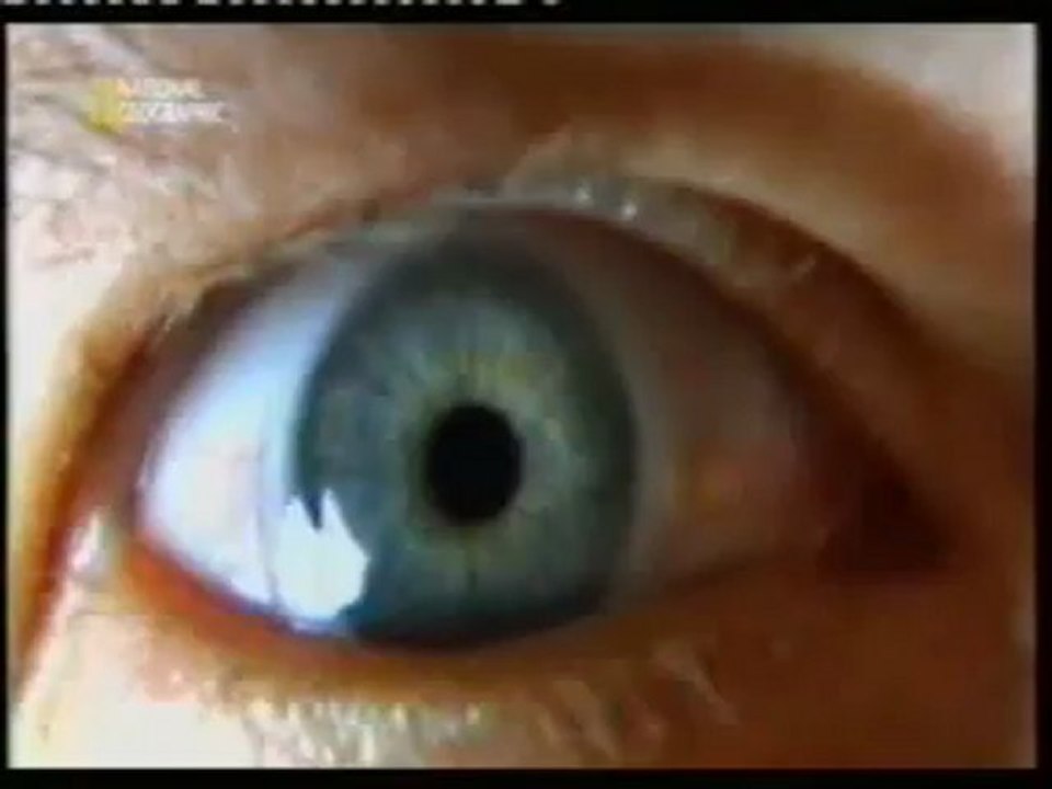 LSD: Una experiencia psicodelica (Michael)