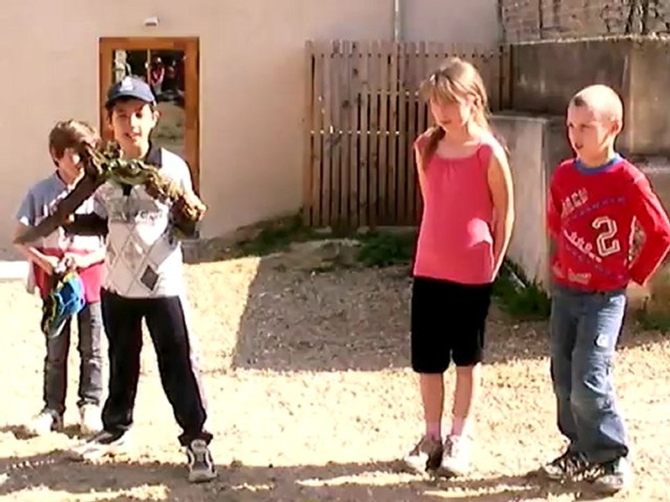 L'histoire du crapaud