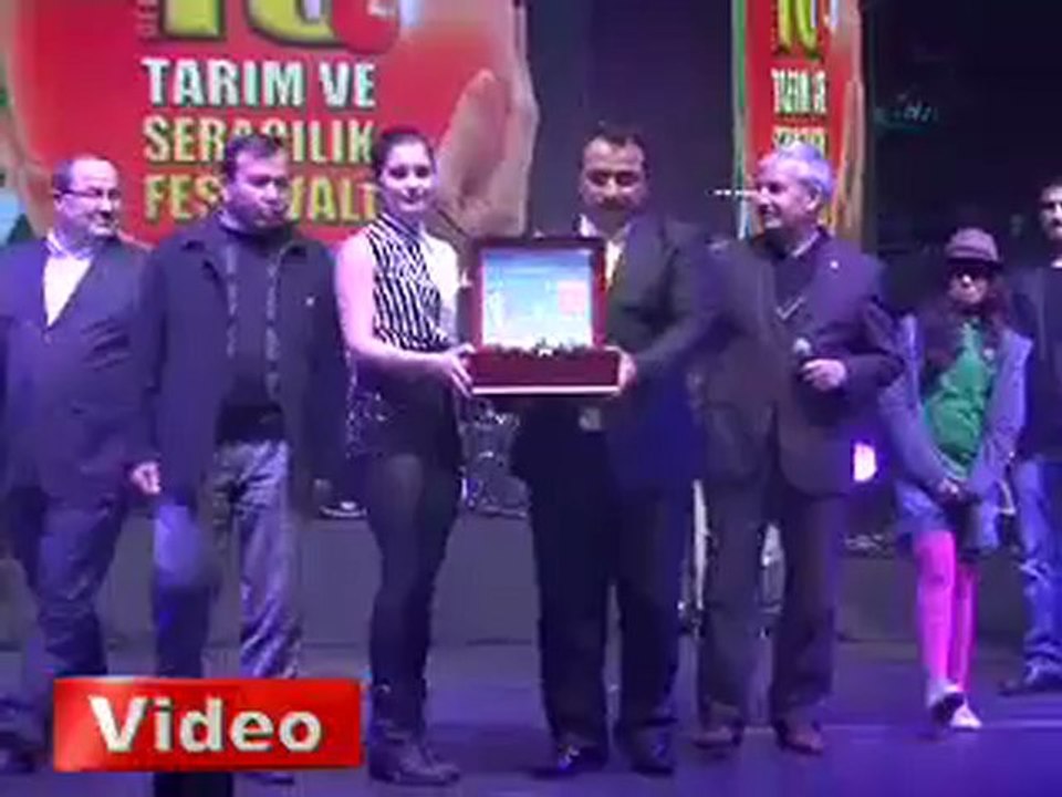 Darbuka şov