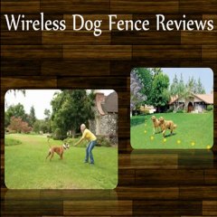 Wireless Dog Fence Reviews