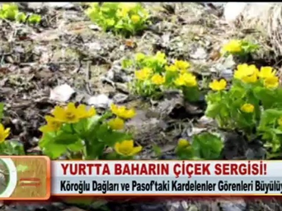 YURTTA BAHARIN ÇİÇEK SERGİSİ! 24.04.2012