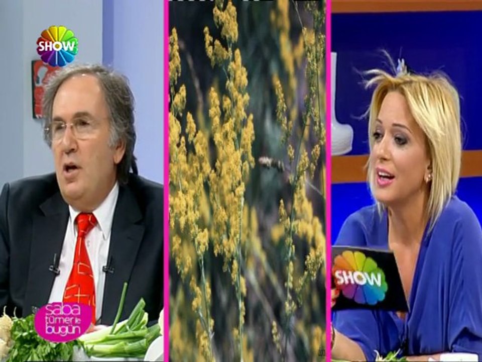 Prof. Dr. İbrahim Saraçoğlu - Mide ülseri için kür