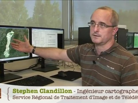 Les forêts alsaciennes sous l'oeil de SPOT