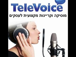 נתב עסקי