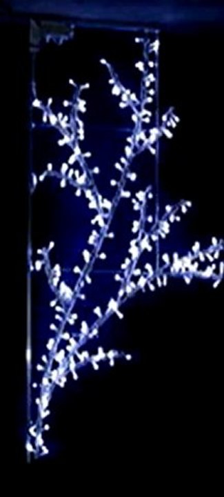 Motif Lumineux Rameau