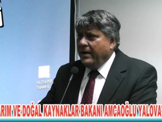 KKTC TARIM VE DOĞAL KAYNAKLAR BAKANI AMCAOĞLU YALOVA'DA