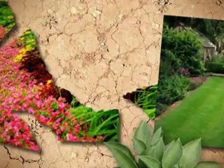 Map Tree & Landscape Service - (805) 443-4115