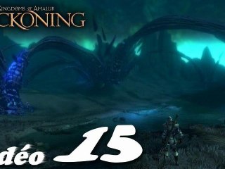 Les Royaumes D'Amalur Age Of Reckoning (15/16)