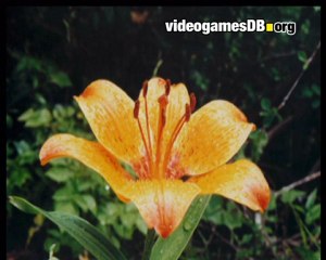 Photos sur cd et dvd 4