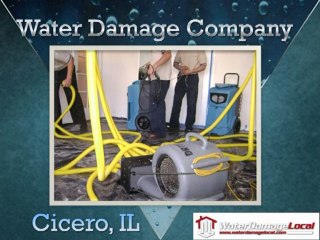 Water Damage Company Schaumburg, IL dm