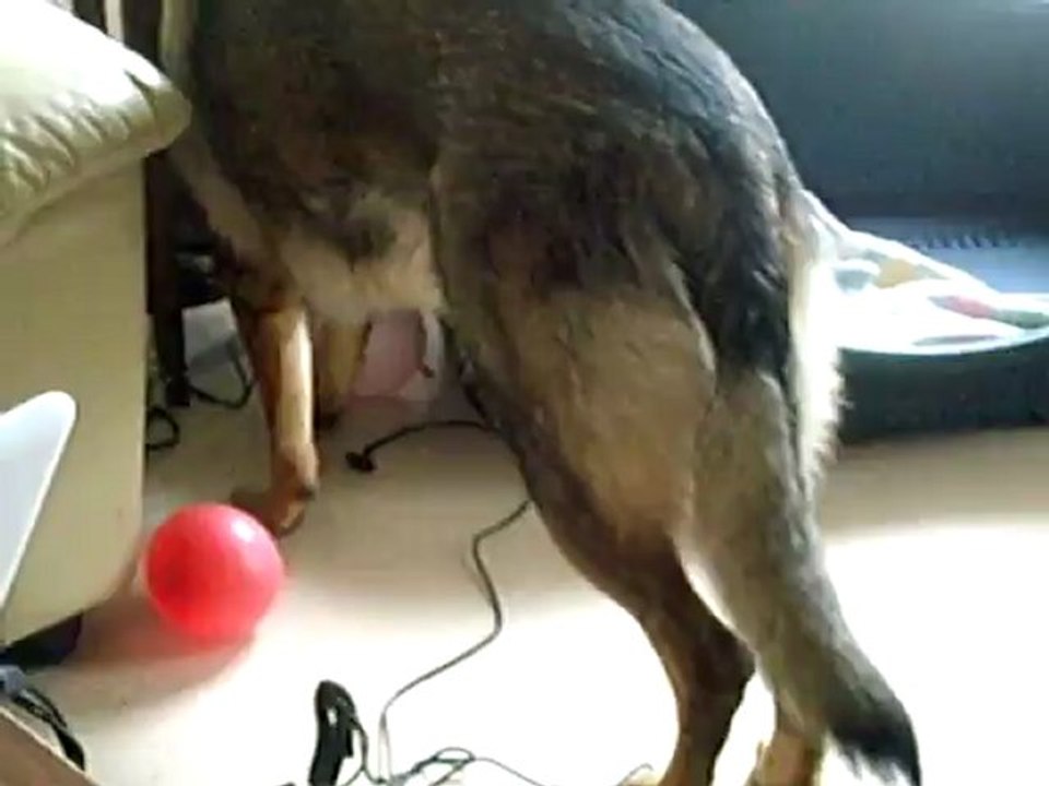 Glück du Domaine de Kilorff