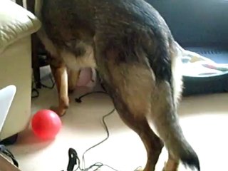 Glück du Domaine de Kilorff