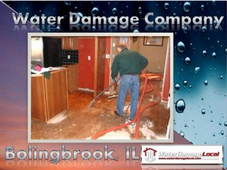 Water Damage Company Bolingbrook, IL