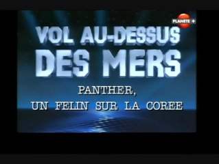 Vol au-dessus des mers (Panther, un félin sur la corée)