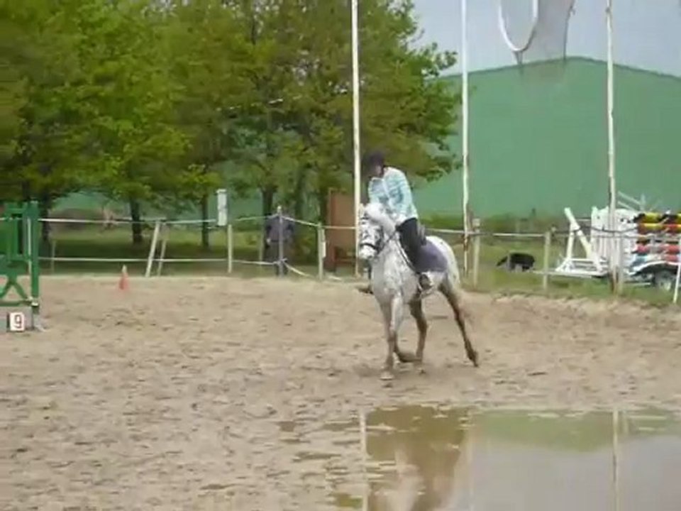Cheval de saut