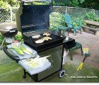weber gas grills