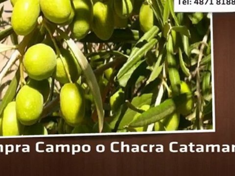 VENTA - Campo o Chacra - Ruta 60 al - Catamarca - USD 15600