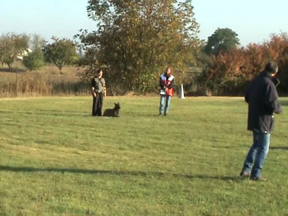 B'Thémis fuyante ring 3