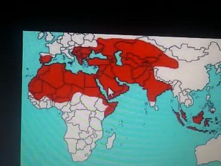 New Islamic Caliphate According To Revelations 17:9-12