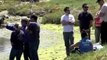 Dolphin Trapped in California Wetlands