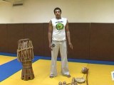Sports Loisirs : Capoeira : les grades