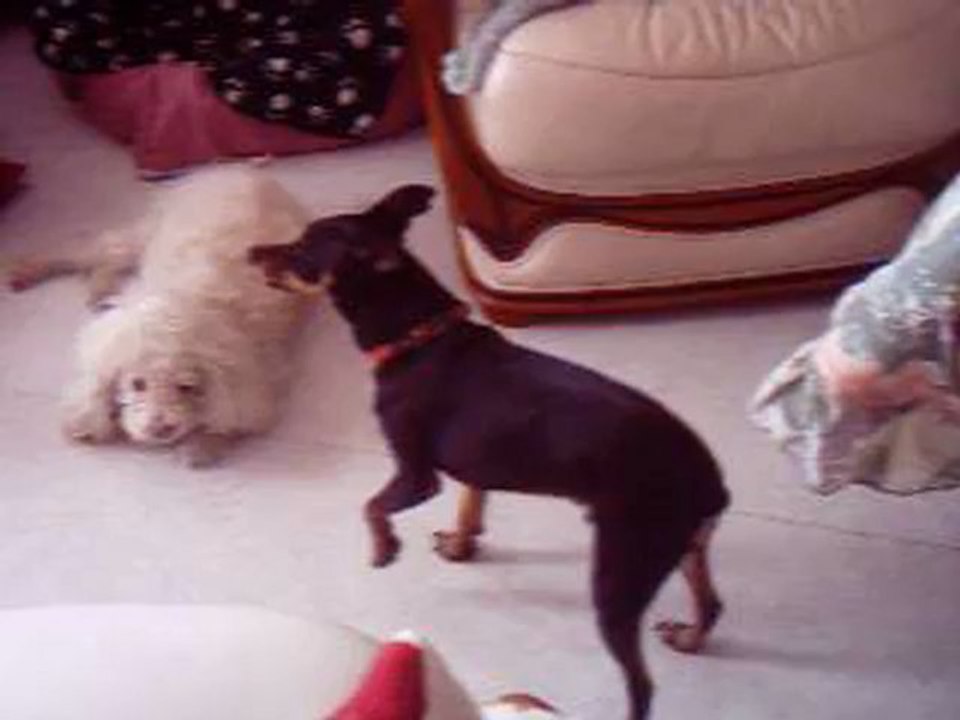 Vendredi 20 avril 2012 nounours Patricia mickey et lulu