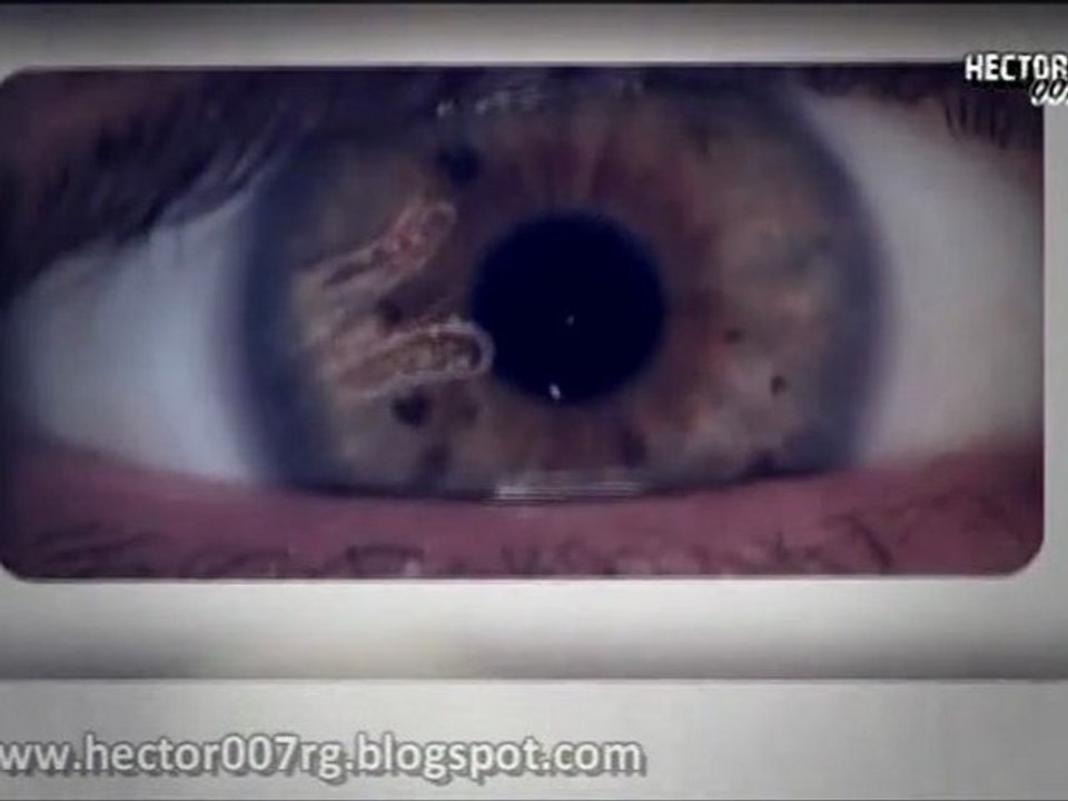 L 01x06