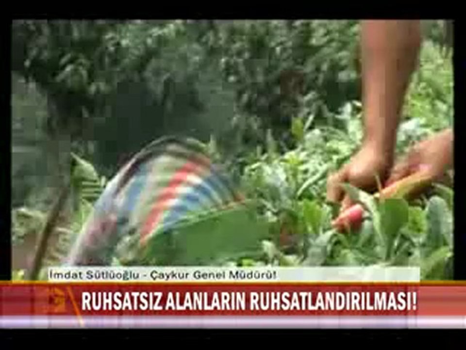 1 - İMDAT SÜTLÜOĞLU