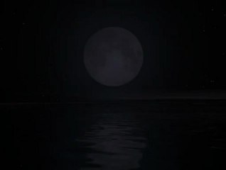 Les vêtements de femmes