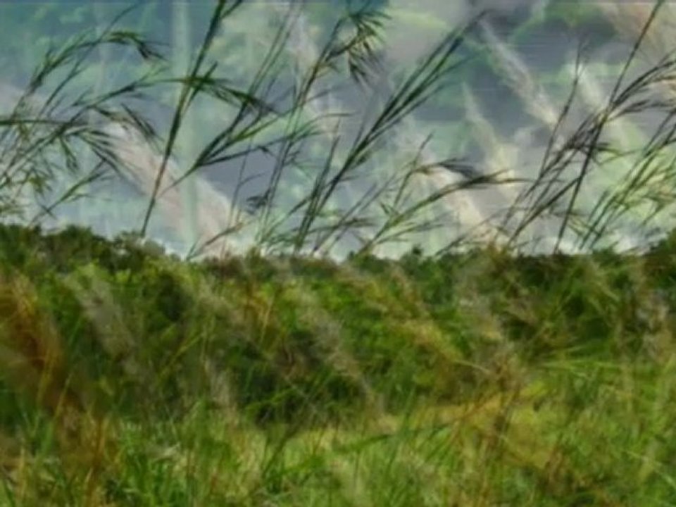 ECOUTE DANS LE VENT (Blowin' in the wind) -  Bob DYLAN