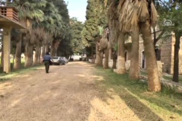 ''Kibar Feyzo''nun köyü