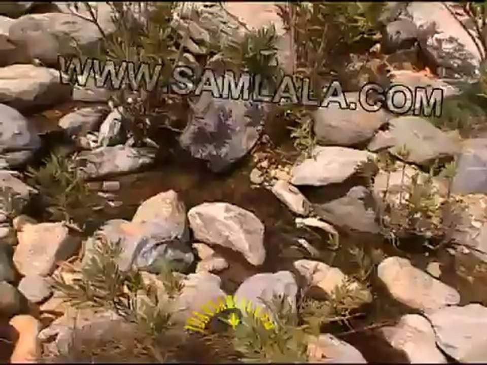 ‫قبيلة إداوسملال ⵣ خرير المياه لحن الحياة‬