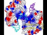 The DEVASTATION OF EVOLUTION - CHIRALITY    Carl Gallups Explains