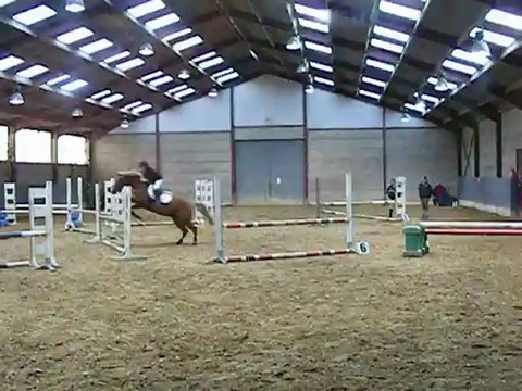 1er degré - Saut d'obstacles / Bibiche