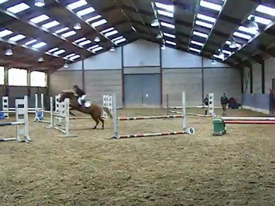 1er degré - Saut d'obstacles  / Bibiche