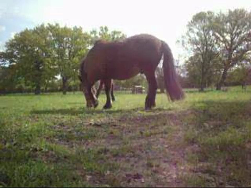 Liberté avec Tonrado (22 avril 2012)