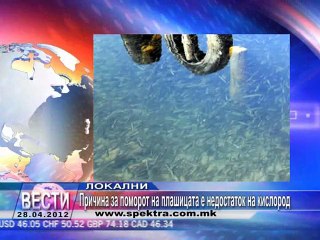 TV SPEKTRA VESTI 28.04